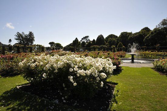 Ogród Botaniczny Wellington